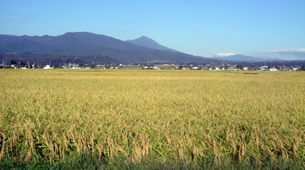 湯川村